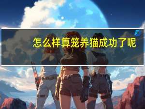 怎么样算笼养猫成功了呢