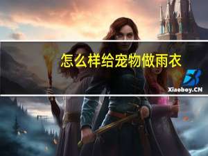 怎么样给宠物做雨衣