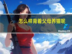 怎么样背着父母养猫呢