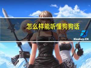 怎么样能听懂狗狗话