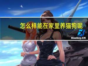 怎么样能在家里养猫狗呢