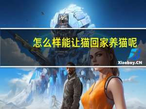 怎么样能让猫回家养猫呢