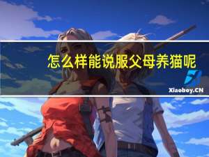 怎么样能说服父母养猫呢