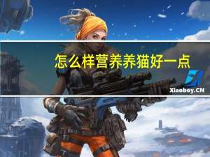 怎么样营养养猫好一点