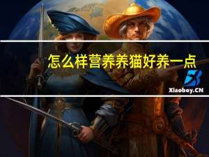 怎么样营养养猫好养一点