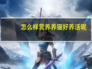 怎么样营养养猫好养活呢