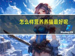 怎么样营养养猫最好呢