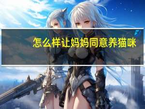 怎么样让妈妈同意养猫咪