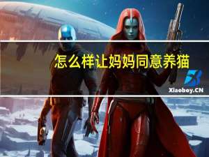 怎么样让妈妈同意养猫