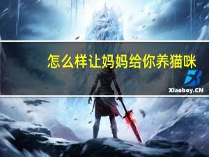 怎么样让妈妈给你养猫咪