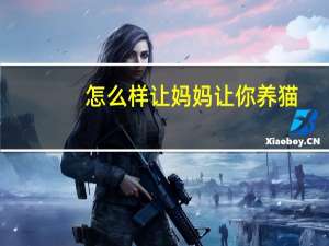 怎么样让妈妈让你养猫