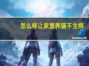 怎么样让家里养猫不生病