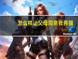 怎么样让父母同意我养猫