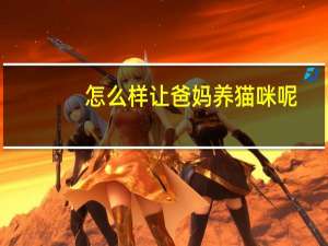 怎么样让爸妈养猫咪呢