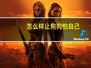 怎么样让狗狗怕自己