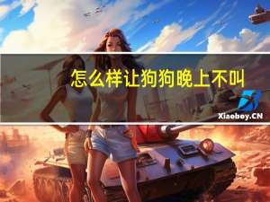 怎么样让狗狗晚上不叫