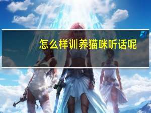 怎么样训养猫咪听话呢