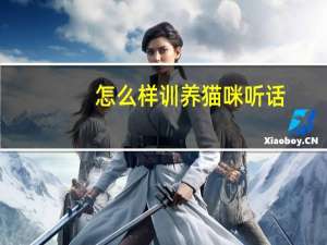 怎么样训养猫咪听话