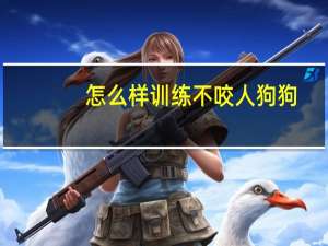 怎么样训练不咬人狗狗