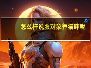 怎么样说服对象养猫咪呢