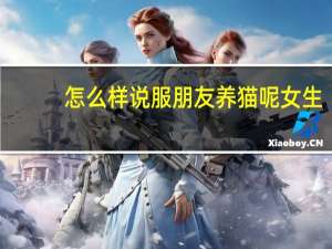 怎么样说服朋友养猫呢女生