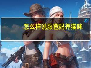 怎么样说服爸妈养猫咪