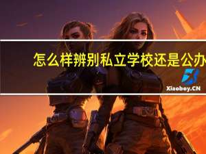 怎么样辨别私立学校还是公办