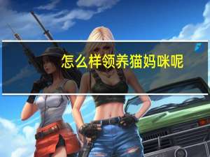 怎么样领养猫妈咪呢