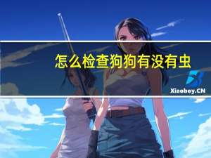 怎么检查狗狗有没有虫