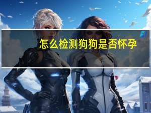 怎么检测狗狗是否怀孕