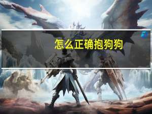 怎么正确抱狗狗