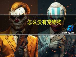 怎么没有宠物狗
