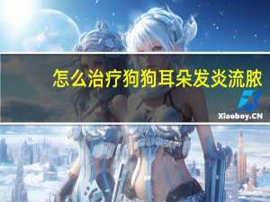 怎么治疗狗狗耳朵发炎流脓