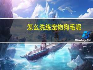 怎么洗练宠物狗毛呢