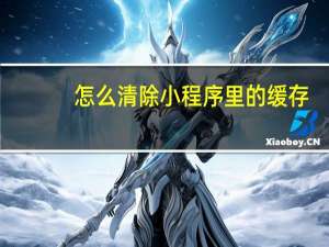 怎么清除小程序里的缓存