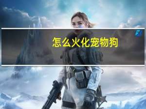 怎么火化宠物狗