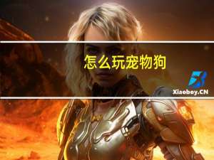 怎么玩宠物狗