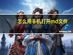 怎么用手机打开md文件（手机查看md文件）