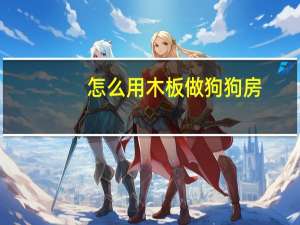怎么用木板做狗狗房