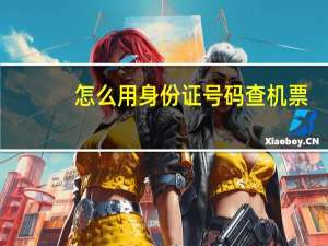 怎么用身份证号码查机票