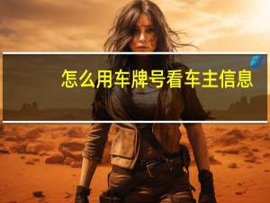 怎么用车牌号看车主信息（车牌号怎么用）