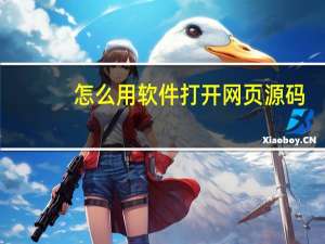 怎么用软件打开网页源码
