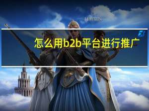 怎么用b2b平台进行推广
