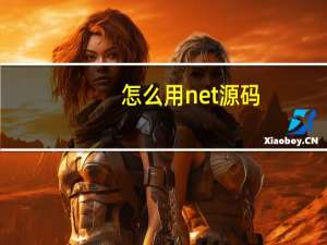 怎么用net源码