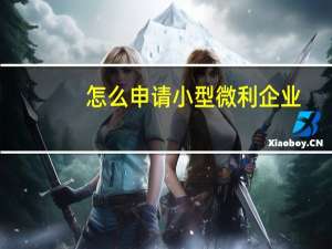 怎么申请小型微利企业