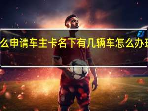 怎么申请车主卡名下有几辆车怎么办理车主卡