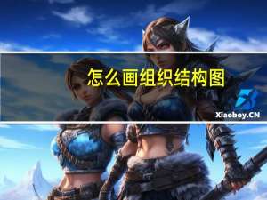 怎么画组织结构图