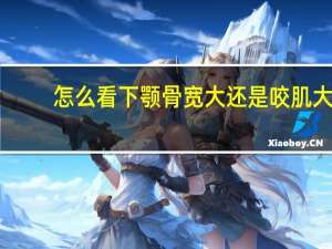 怎么看下颚骨宽大还是咬肌大（咬肌和下颌骨怎么分辨）