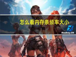 怎么看内存条频率大小（怎么看内存条频率）