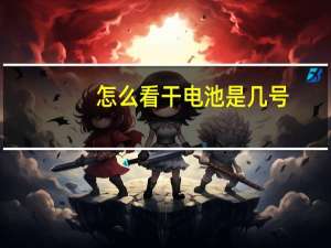 怎么看干电池是几号
